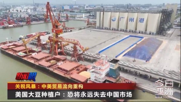 利鸿网 美国大豆可能将永远失去中国市场 巴西向中国毛遂自荐替代美国