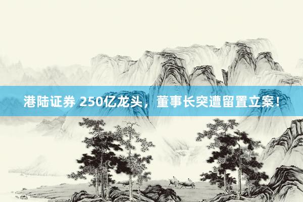 港陆证券 250亿龙头，董事长突遭留置立案！