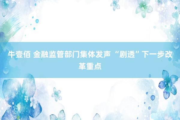 牛壹佰 金融监管部门集体发声 “剧透”下一步改革重点