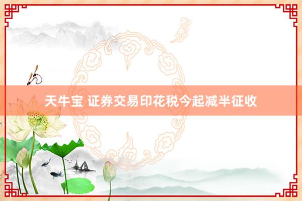 天牛宝 证券交易印花税今起减半征收