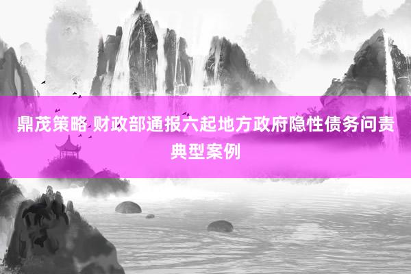 鼎茂策略 财政部通报六起地方政府隐性债务问责典型案例
