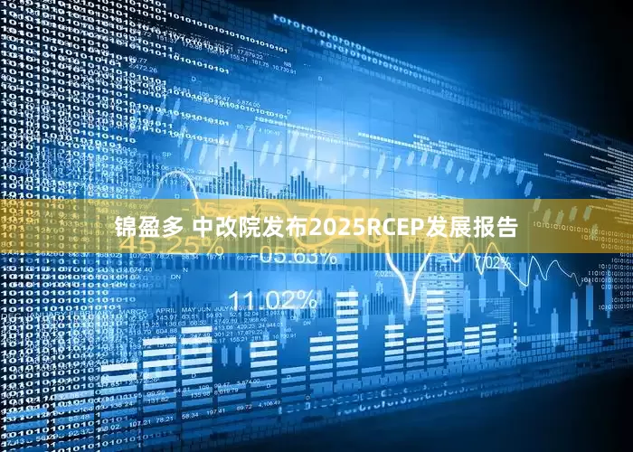 锦盈多 中改院发布2025RCEP发展报告